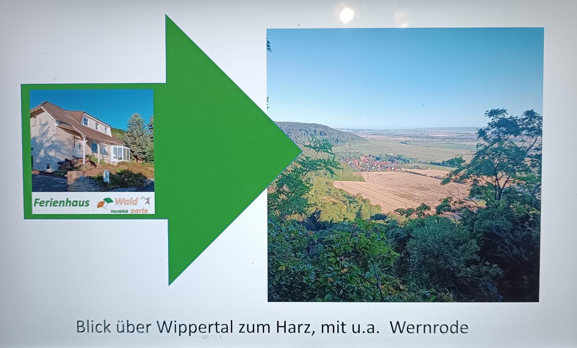 Ferienhaus Waldperle Harzblick Wernrode Eksteriør bilde